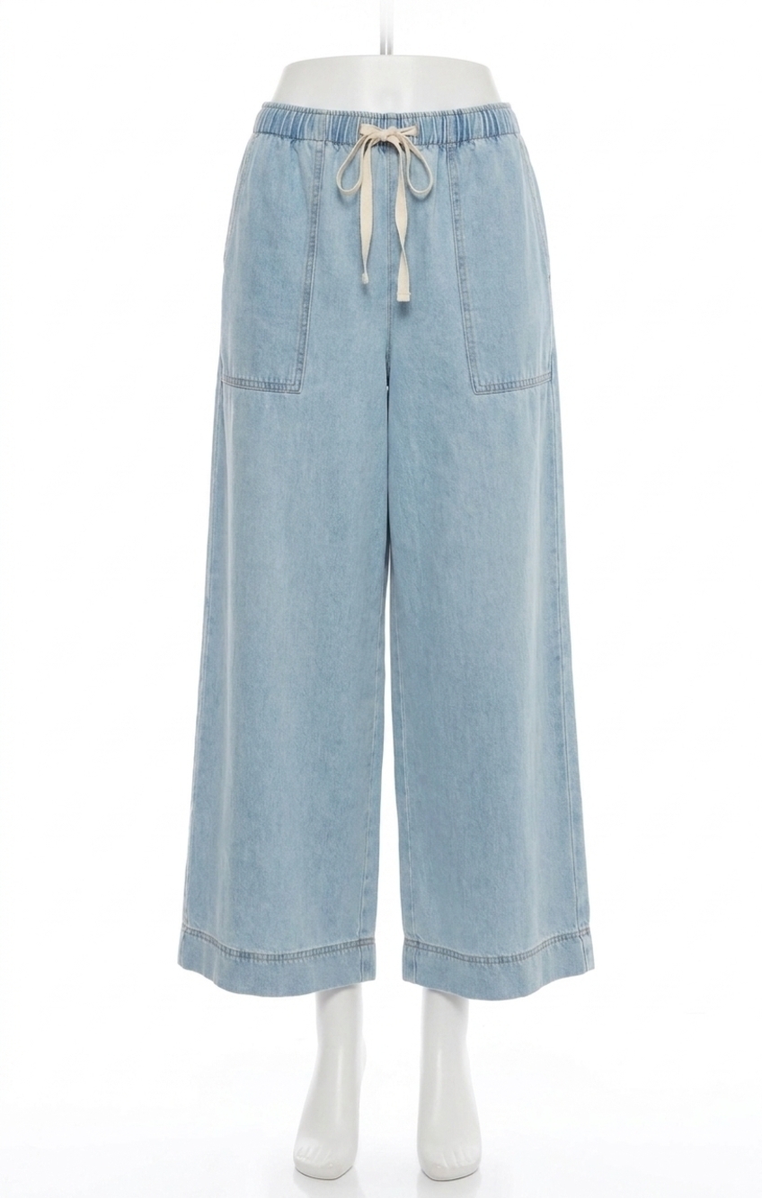 NEW Z SUPPLY daycation denim utility pant in blue